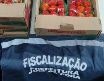 Fiscalização apreende mais de 500 materiais irregulares em operação “Comércio Legal”
