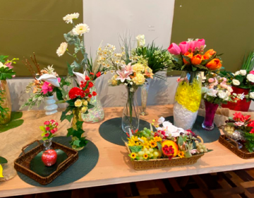 Centro Cultural Dnar Rocha apresenta a exposição “Estação em Flor”