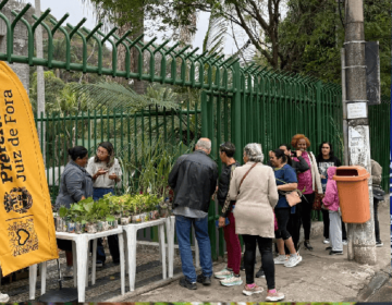 Museu Mariano Procópio realiza distribuição gratuita de 250 mudas