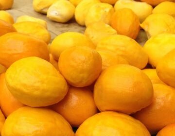 Produtos do agro mineiro marcam presença na maior feira de alimentos e bebidas da América do Sul