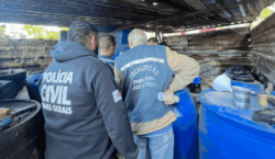 Fiscalização da Prefeitura de Juiz de Fora apreende quase 8…