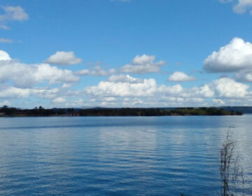 Governo de Minas divulga audiências públicas sobre projeto de travessia multimodal nos lagos de Furnas e Mascarenhas de Moraes