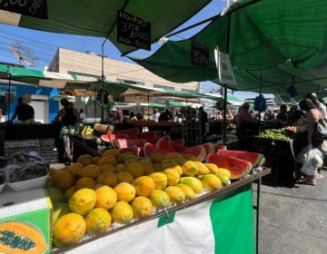 Prefeitura abre inscrições para novas feiras livres em Juiz de Fora