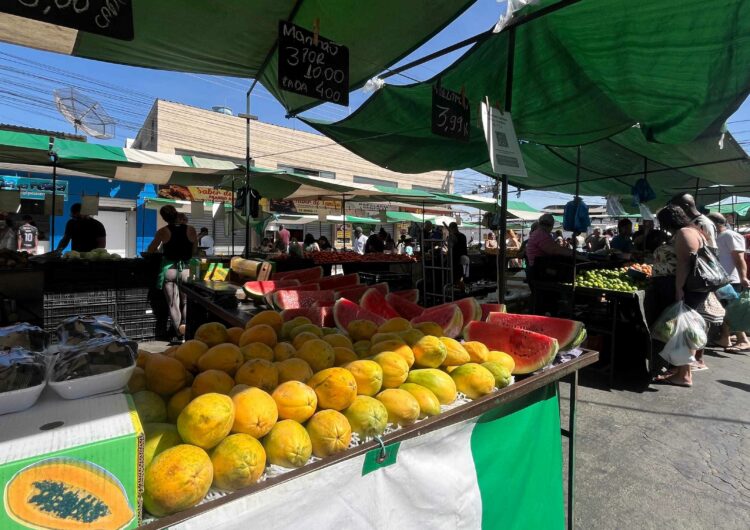 Prefeitura abre inscrições para novas feiras livres em Juiz de Fora