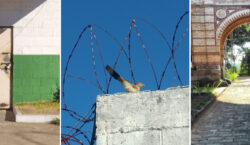 Adolescentes do Centro Socioeducativo de Juiz de Fora produzem fotos…