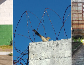 Adolescentes do Centro Socioeducativo de Juiz de Fora produzem fotos e participam de exposição em festival internacional