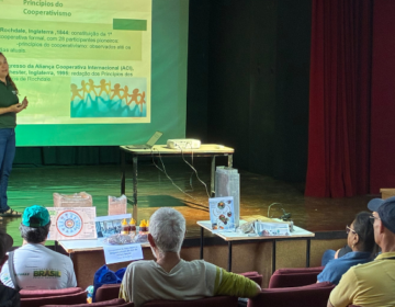 Oficina técnica aborda o cooperativismo na produção de mel e abelhas com e sem ferrão