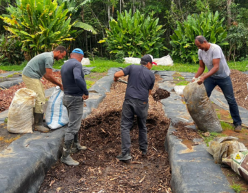 PJF entrega mais de cinco toneladas de composto orgânico em novembro; inscrições para dezembro estão abertas