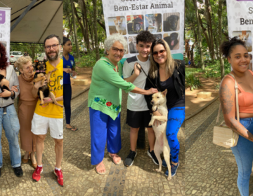 No primeiro ano de existência, Secretaria do Bem-Estar Animal reduz o número de animais abrigados no Canil Municipal