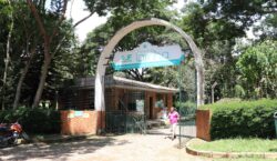 Parque Natural Municipal da Lajinha recebeu mais de 60 mil&hellip;