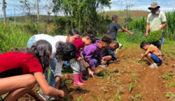 Crianças do Centro de Convivência Barreira do Triunfo visitam horta…