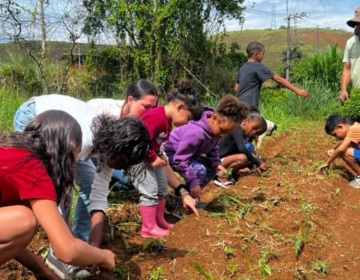 Crianças do Centro de Convivência Barreira do Triunfo visitam horta de agricultores no projeto Produtores do Amanhã