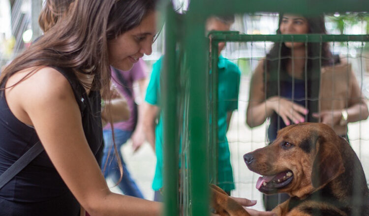 SEBEAL realiza último evento de adoção do ano no Parque Halfeld