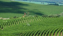 PIB de Minas Gerais alcança R$ 290,1 bilhões no terceiro&hellip;