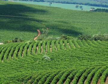 PIB de Minas Gerais alcança R$ 290,1 bilhões no terceiro trimestre e cresce 1,1% em relação ao mesmo período de 2024