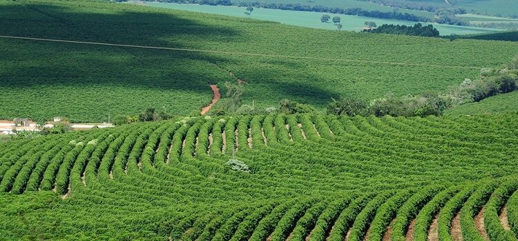 PIB de Minas Gerais alcança R$ 290,1 bilhões no terceiro trimestre e cresce 1,1% em relação ao mesmo período de 2024