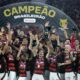 Flamengo derrota Ceará e coroa ano mágico com título Brasileiro