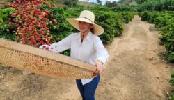 Exportações do agronegócio mineiro alcançam US$ 19,8 bilhões em 2025&hellip;