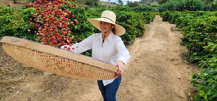 Exportações do agronegócio mineiro alcançam US$ 19,8 bilhões em 2025 e atingem novo recorde