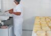 Dia Mundial do Queijo: em Minas, agroindústrias familiares produziram 43 mil toneladas em 2025