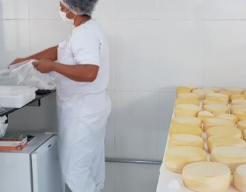 Dia Mundial do Queijo: em Minas, agroindústrias familiares produziram 43 mil toneladas em 2025