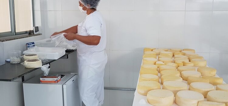 Dia Mundial do Queijo: em Minas, agroindústrias familiares produziram 43 mil toneladas em 2025