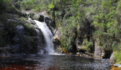 Férias na natureza: investimentos fortalecem parques e qualificam a visitação&hellip;