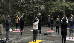 Yoga no Parque Municipal tem primeira edição de 2026 neste&hellip;