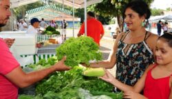 Feiras livres geram renda para agricultores de quase 700 municípios&hellip;