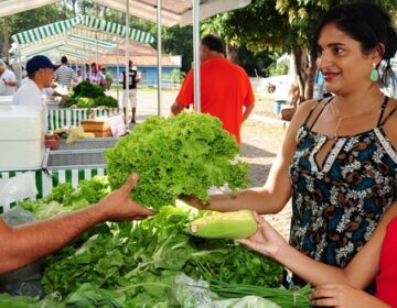 Feiras livres geram renda para agricultores de quase 700 municípios mineiros