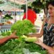 Feiras livres geram renda para agricultores de quase 700 municípios mineiros