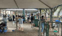 Sebeal realiza evento de adoção no Parque Halfeld neste sábado,&hellip;