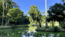 Parque do Museu contará com aula de yoga gratuita neste&hellip;