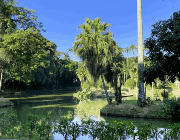Parque do Museu contará com aula de yoga gratuita neste sábado, 7