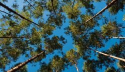 Governo de Minas lança edital pioneiro para modernização da gestão&hellip;