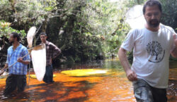 Pesquisas científicas avançam nos parques estaduais e fortalecem a conservação&hellip;