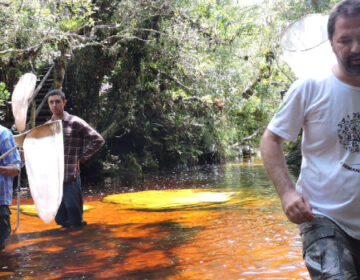 Pesquisas científicas avançam nos parques estaduais e fortalecem a conservação da biodiversidade em Minas Gerais