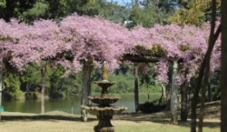Parque da Lajinha reabre nesta terça-feira, 10, com restrições em&hellip;
