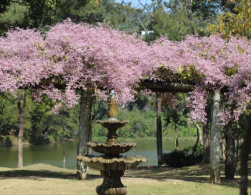 Parque da Lajinha reabre nesta terça-feira, 10, com restrições em algumas áreas