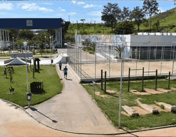 Sebeal realiza evento de adoção de animais na Praça CEU neste sábado, 14