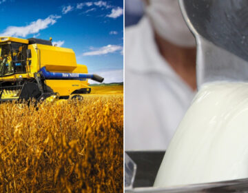 PIB de Minas Gerais atinge recorde de R$ 1,157 trilhão em 2025