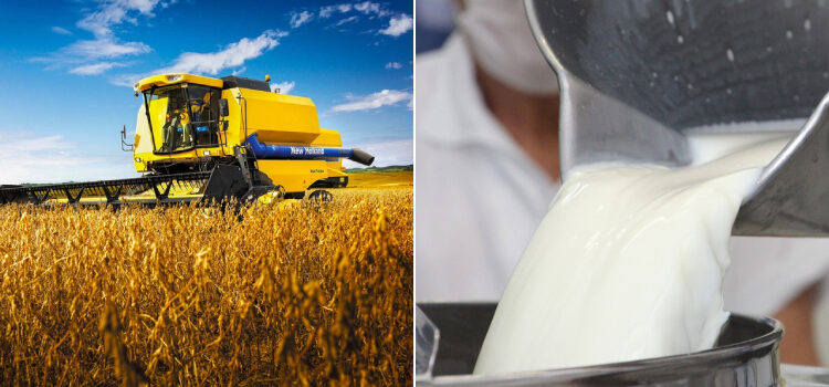 PIB de Minas Gerais atinge recorde de R$ 1,157 trilhão em 2025