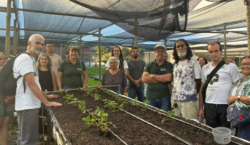 Produtores rurais participam de oficina voltada à produção de morango&hellip;