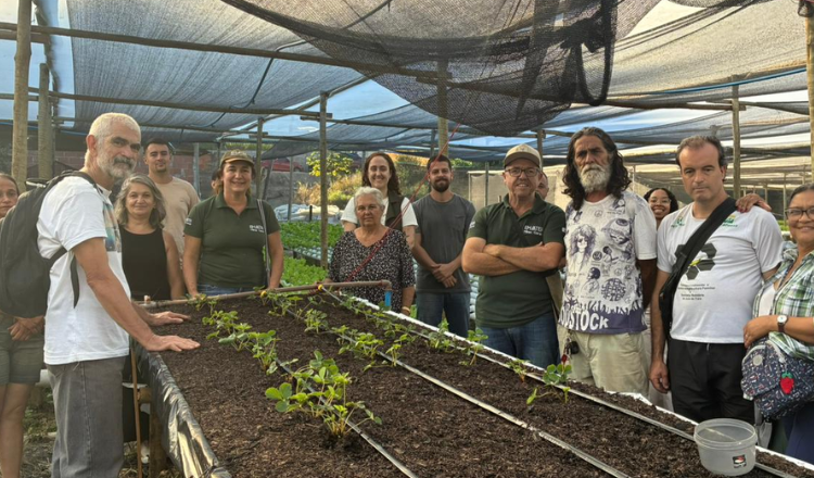 Produtores rurais participam de oficina voltada à produção de morango e frutas vermelhas