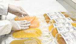 Governo de Minas amplia plasmaférese e fortalece o cuidado contra&hellip;