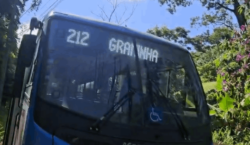 Linha 212: Graminha ganha nova linha de ônibus para garantir&hellip;