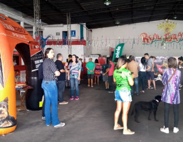 Nove animais do Canil Municipal são adotados em evento com tema carnavalesco