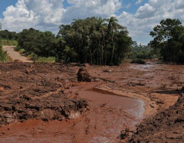 Após denúncia do Ministério Público, relator de CPI cobra instalação de observatório sobre Brumadinho