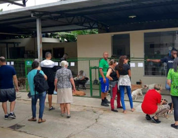 Canil Municipal doa 11 animais no primeiro evento de 2020